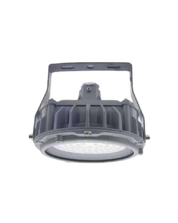 ATEX Ceiling Mounted Flood Light in UAE